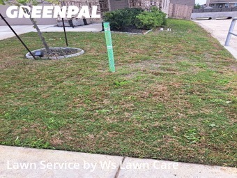 Lawn Service nearby New Braunfels, TX, 
