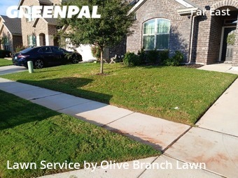 Lawn Mowing Service nearby Fort Worth, TX, 