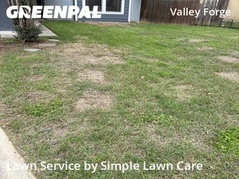 Lawn Maintenance nearby San Antonio, TX, 