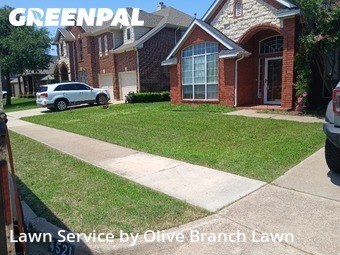 Lawn Servicein Haltom City,76137,Grass Cutting by Olive Branch Lawn, work completed in Jan , 2026