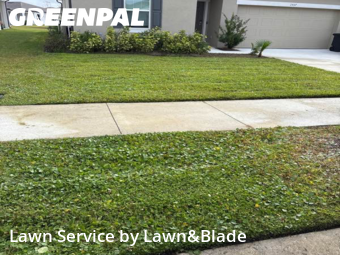Lawn Mowing Servicein Sanford,32771,Lawn Maintenance by Lawn&Blade, work completed in Feb , 2026