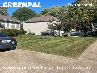 Lawn Mow nearby Olathe, KS, 