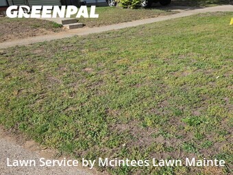 Yard Cutting nearby Dearborn Heights, MI, 