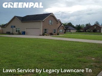 Grass Cut nearby Murfreesboro, TN, 