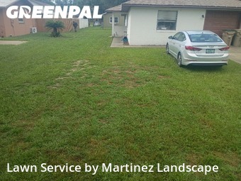Lawn mowed in Lady Lake, 32159