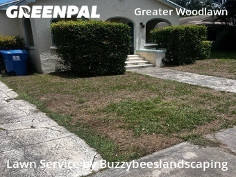 Lawn Cut nearby St. Petersburg, FL, 