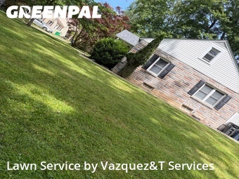 Yard Cutting nearby Bowie, MD, 