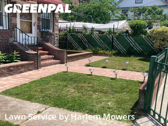 Yard Cutting nearby Queens, NY, 