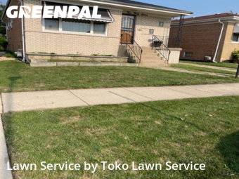 Yard Mowing nearby Calumet City, IN, 