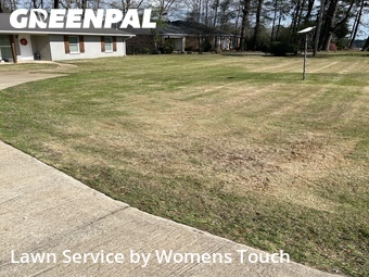 Grass Cutting nearby Tuscaloosa, AL, 