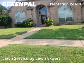 Lawn Cut nearby Frisco, TX, 