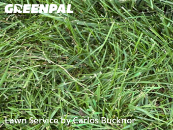 Lawn Care Service nearby Lee's Summit, MO, 
