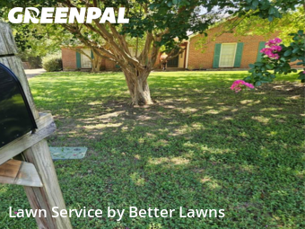 Lawn Maintenance nearby Montgomery, AL, 