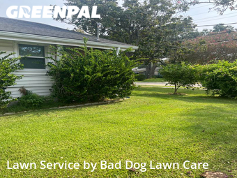 Yard Cutting nearby Metairie, LA, 