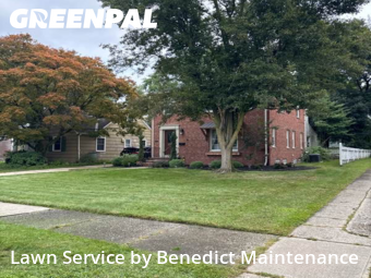 Lawn Upkeep in Fairview Park, 44126, Yard Maintenance by Benedict Maintenance, work completed in Oct , 2025