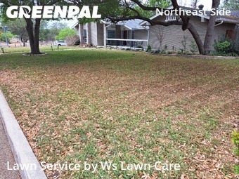 Lawn Maintenance nearby Windcrest, TX, 