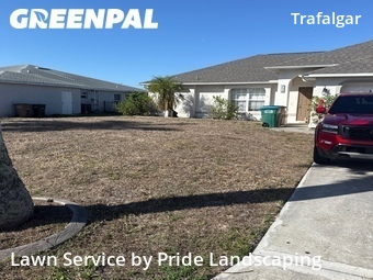 Lawn Cut nearby Cape Coral, FL, 