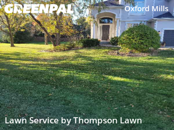 Grass Services in Overland Park, 66221, Lawn Upkeep by Thompson Lawn, work completed in Nov , 2025