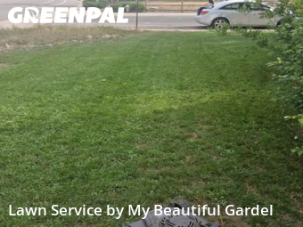 Lawn Care Service nearby Thornton, CO, 