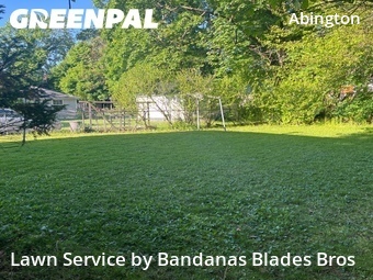 Lawn Mowing Service nearby Abington Township, PA, 