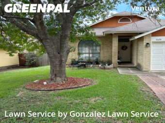 Lawn Mowing Service nearby San Antonio, TX, 
