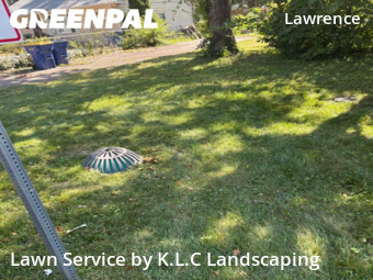 Lawn Mow nearby Indianapolis, IN, 