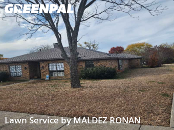 Lawn Servicein Garland,75043,Lawn Service by MALDEZ RONAN, work completed in Dec , 2025