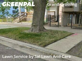 Lawn Cut nearby Chicago, IN, 