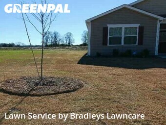 Grass Cutting nearby Saint Thomas, NC, 