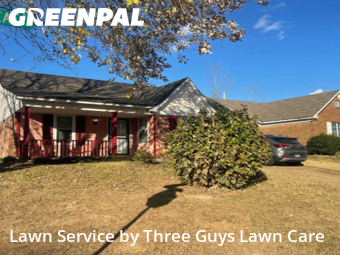 Weed Trimming in Memphis, 38128, Lawn Mowing by Three Guys Lawn Care, work completed in Dec , 2025