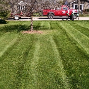 the-yard-cutting-businesses-in-Mcminnville-OR