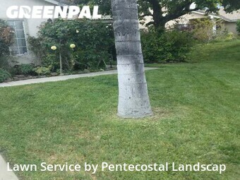 Lawn Care Service nearby Lake Elsinore, CA, 
