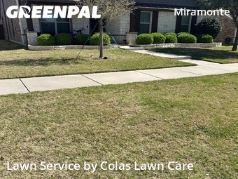 Lawn Mow nearby Frisco, TX, 