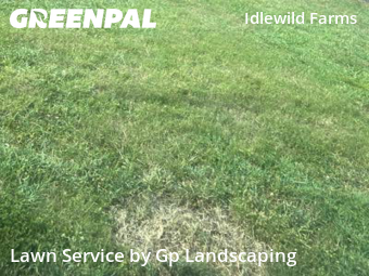 Grass Cutting nearby Charlotte, NC, 