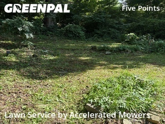 Lawn Cut nearby Birmingham, AL, 