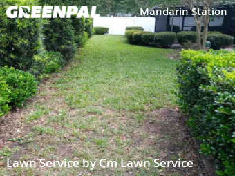 Grass Cut nearby Jacksonville, FL, 