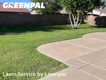 Landscaping Cleanup In Mesa,85209,Landscaping Cleanup by Lawnpal, work completed in Nov , 2025