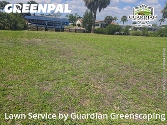 Lawn Care nearby Port Charlotte, FL, 