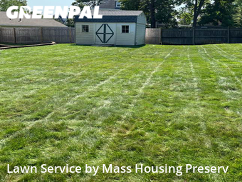 Grass Cut nearby Braintree, MA, 
