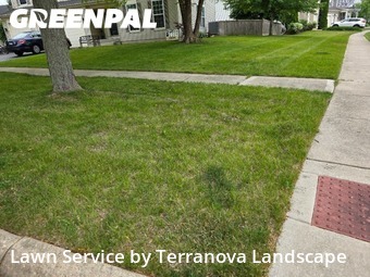 Property Maintenance in Carpentersville, 60110, Property Maintenance by Terranova Landscape, work completed in Dec , 2025