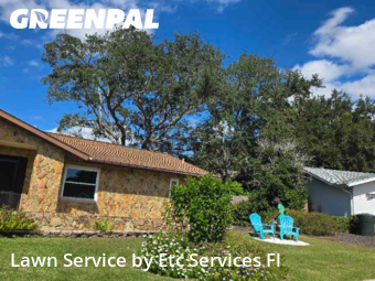 Lawn Carein Dunedin,34698,Lawn Cutting by Etc Services Fl, work completed in Nov , 2025