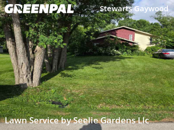 Lawn Mowing Service nearby Brookfield, WI, 