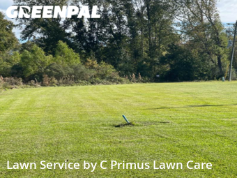 Grass Cut nearby Livingston, LA, 
