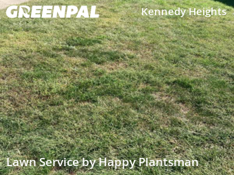 Lawn Services in Cincinnati, 45236, Mowing Services by Happy Plantsman, work completed in Nov , 2025