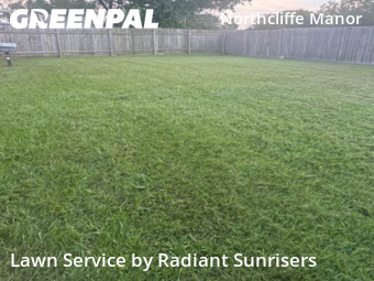 Lawn Cut nearby Houston, TX, 