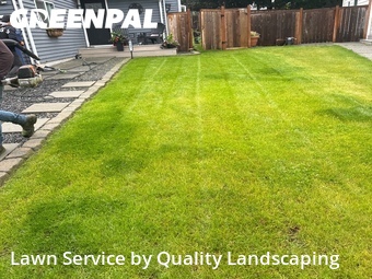 Lawn mowed in Everett, 98204