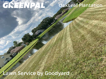 Yard Mowing nearby Orange Park, FL, 