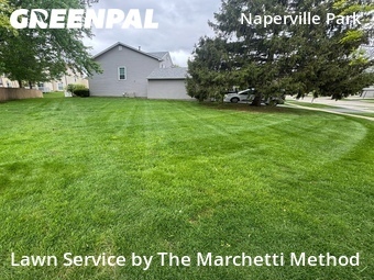 Lawn Maintenance nearby Naperville, IL, 