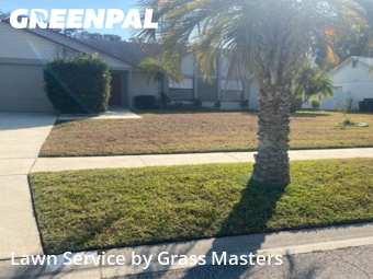 Grass Cut nearby Orlando, FL, 