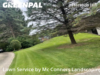 Yard Mowing nearby Lexington, KY, 